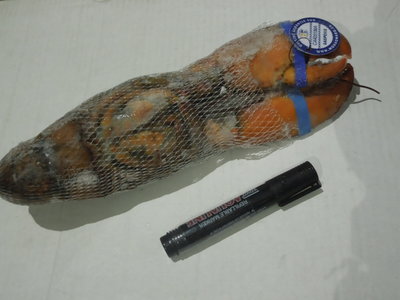 加拿大波士頓龍蝦 2014年新貨原裝進口，大連綜研水產直供餐飲批發