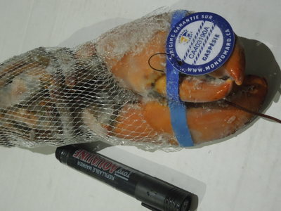 加拿大波士頓龍蝦2014年新貨 原裝進口增重，工廠直供餐飲批發