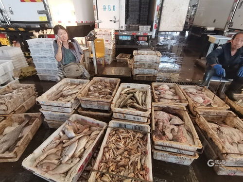 青島海鮮自由季 梭子蟹價(jià)格“跳水”，日用百貨銷售升溫