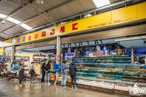 煙火氣中的日常 萬(wàn)象城背后的山海灣日用百貨銷售新篇