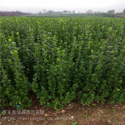 價(jià)格 廠家 中國(guó)供應(yīng)商