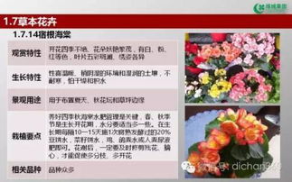 綠城集團(tuán)園林軟景苗木圖譜,非常全面,值得借鑒 收藏