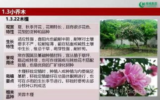 綠城集團(tuán)園林軟景苗木圖譜,非常全面,值得借鑒 收藏