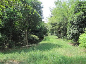 蘇州苗木批發(fā) 苗木批發(fā)價格,蘇州苗木批發(fā) 苗木批發(fā)價格生產(chǎn)廠家,蘇州苗木批發(fā) 苗木批發(fā)價格價格